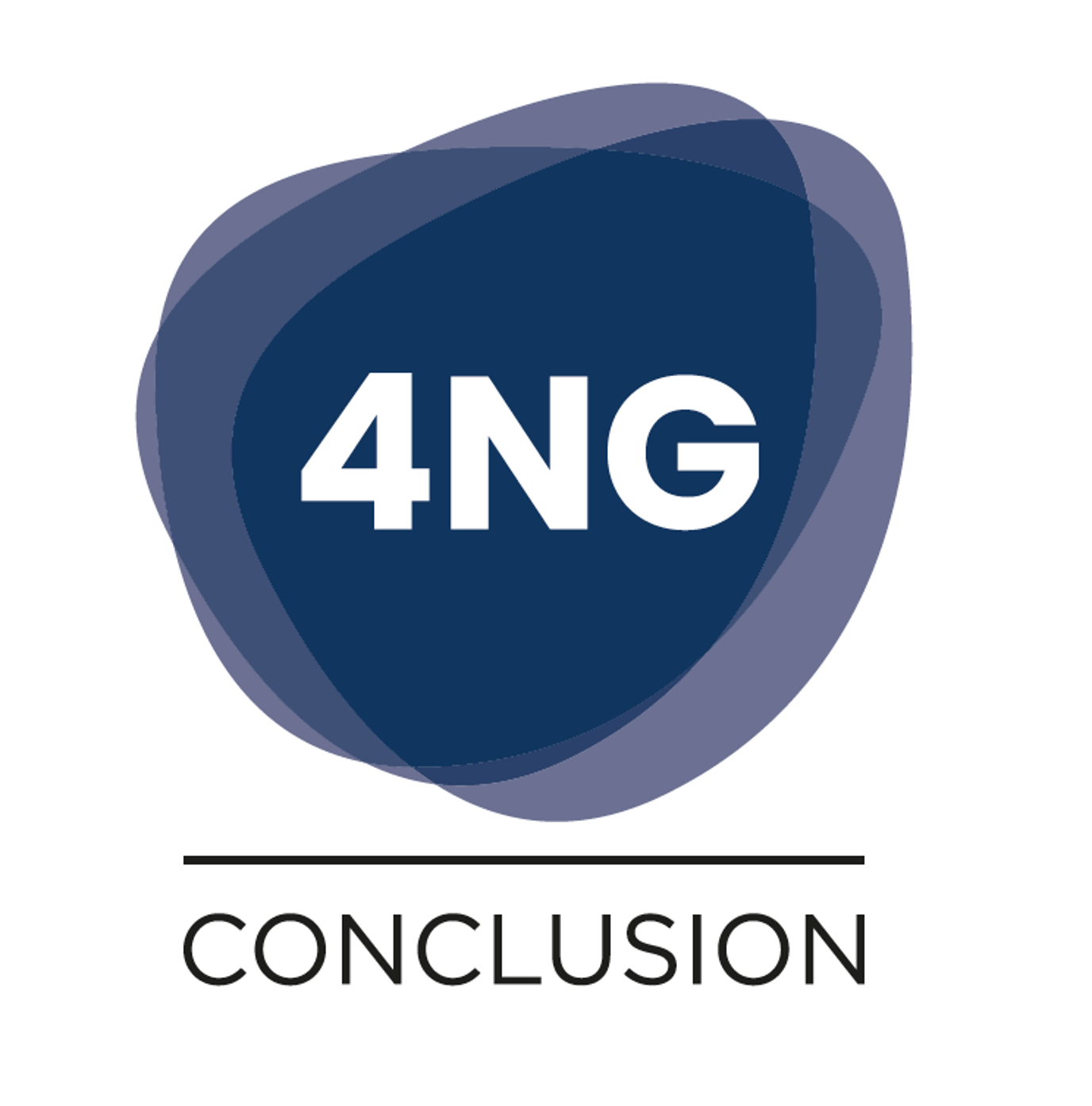 4Ng Conclusion